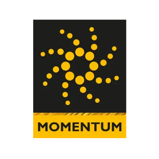 Momentum