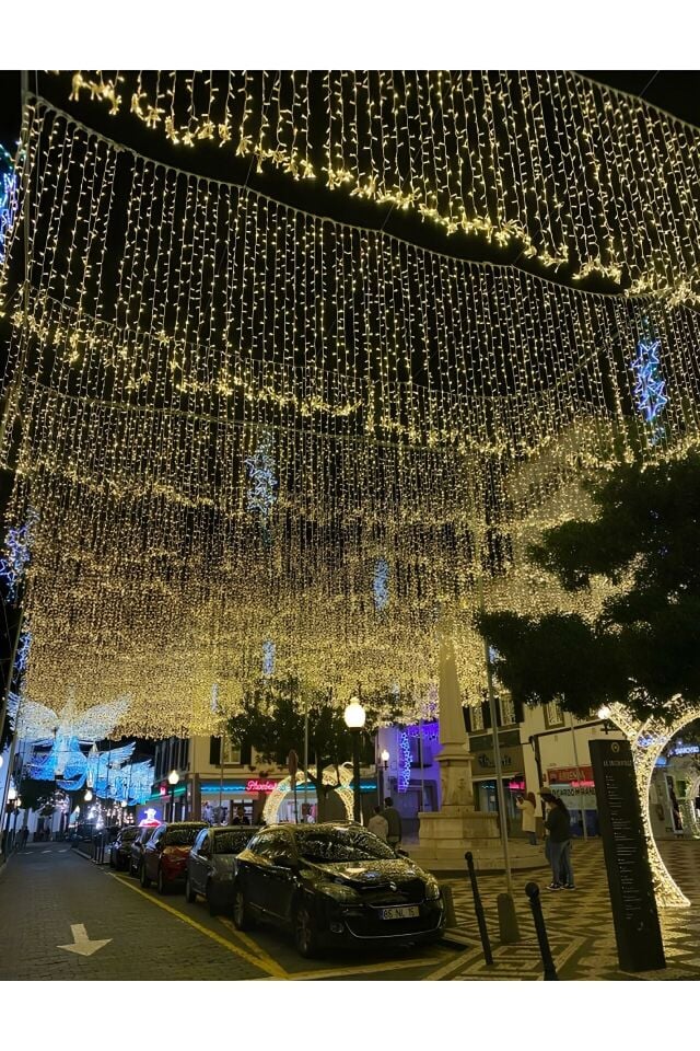 Sarkıt Saçak Led Yılbaşı Süsü 2x2 Metre 400 Ledli Saçak Yılbaşı Ağacı Süsü Beyaz Kablo SNC-601 6400K (Beyaz Işık)