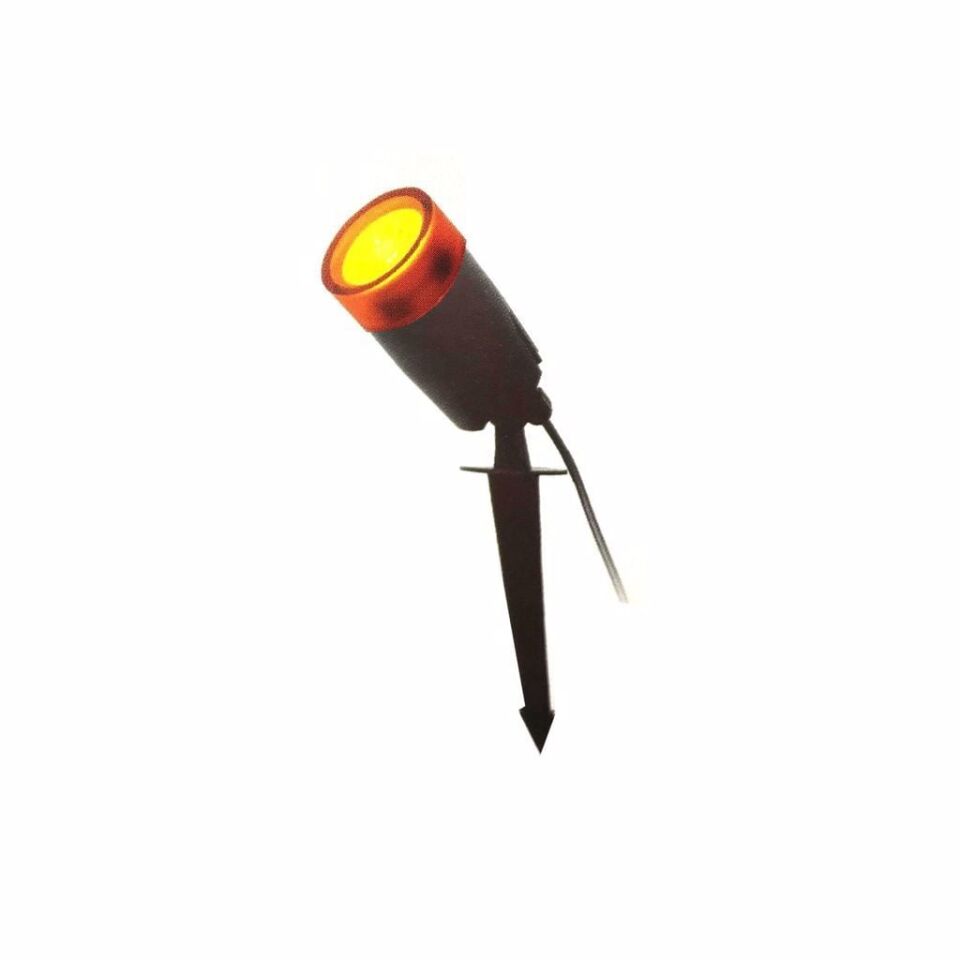 AMBER